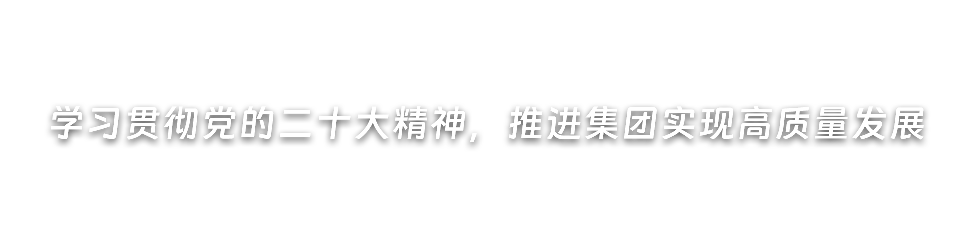 深入开展党纪学习教育，推进集团高质量发展